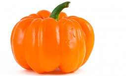 Оранжевый юбилейный – один из лучших перцев с нарядными плодами солнечной окраски