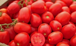 Петраросса F1 – томат для фермеров и дачников: описание гибрида и его преимущества