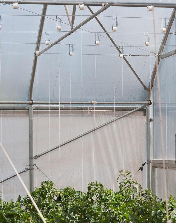 Теплица подвязка купить. Система для подвязки растений в теплице 6м. Система подвязки помидор в теплице. Система подвязывания для теплицы из поликарбоната. Система радость для подвязки растений в теплице.
