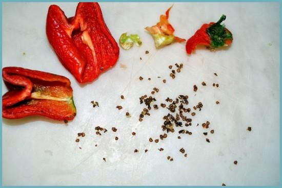 Какие семена перца нужно сажать в грунт