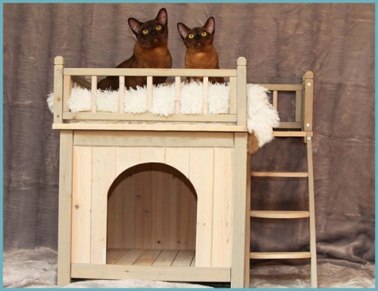 деревянный домик для кота