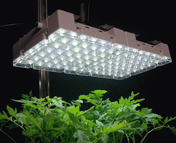 Лампа для досвечивания растений