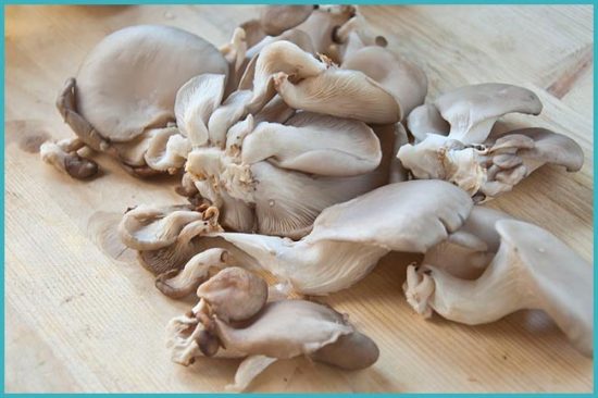 как готовить грибы