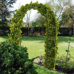 Садовая арка из дерева своими руками: как сделать и украсить