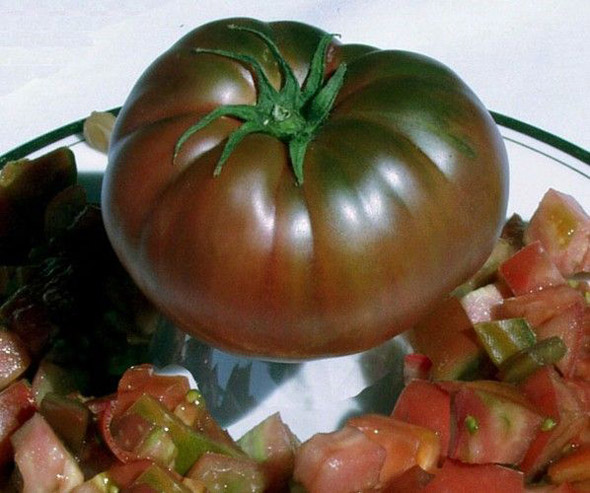 Сорт томатов Черный принц