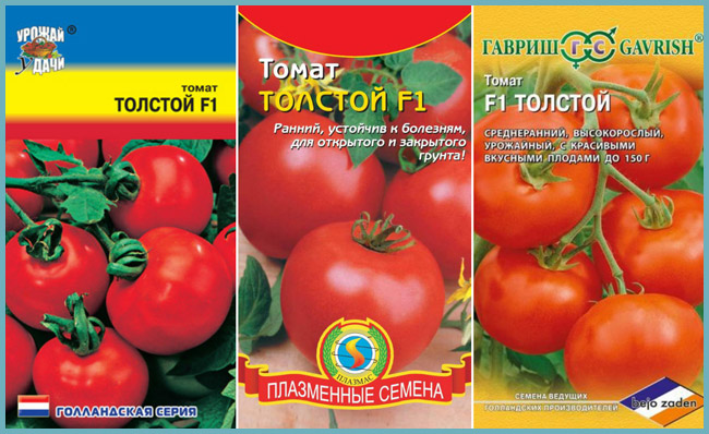 томат f1 толстой: описание, фото куста и плодов, характеристика сорта иотзывы