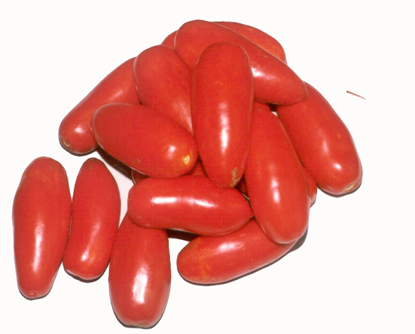 Гибридный сорт томатов Каспар