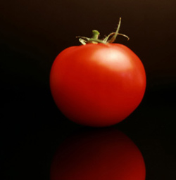 томат красным красно f1: отзывы, посадка и уход, характеристика и описаниесорта, урожайность + фото