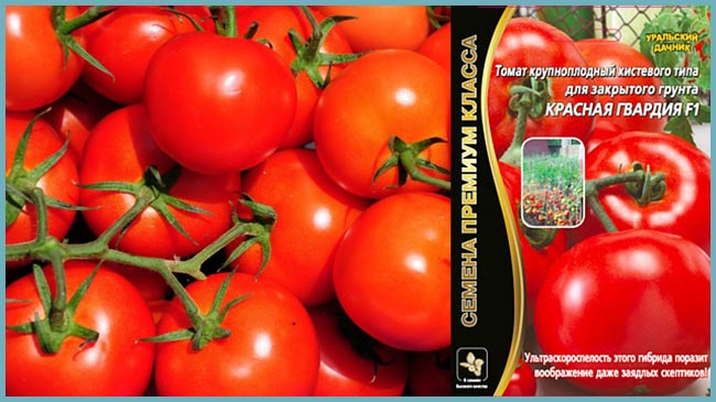 томаты красная гвардия f1: отзывы, особенности посадки и ухода + фото кустаи отзывы