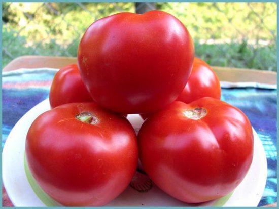 посадка томатов
