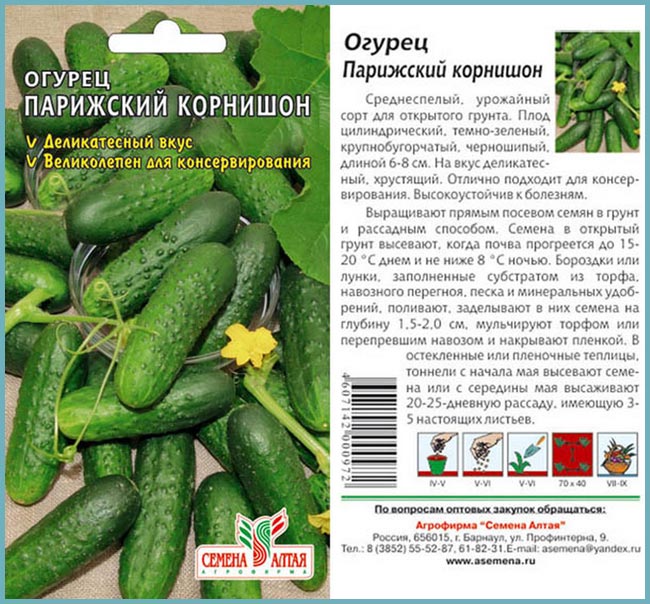 Вирощування парижського корнішона огірка в Україні: