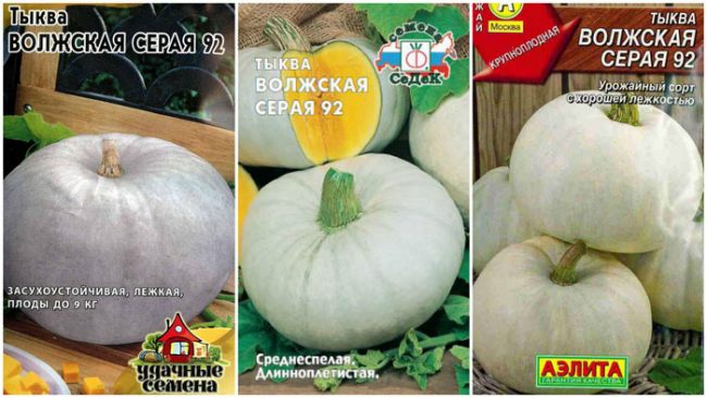 тыква серая волжская описание сорта, посадка и уход, урожайность + фото ...