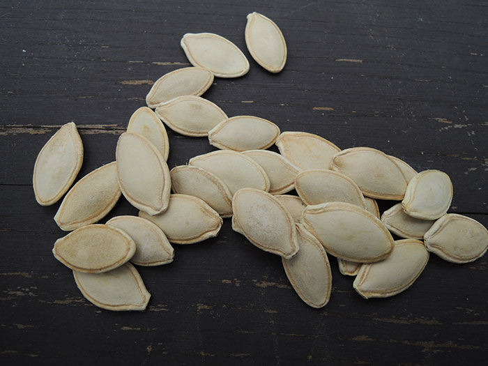 Проклюнути насіння кабачків: крок за кроком інструкції
