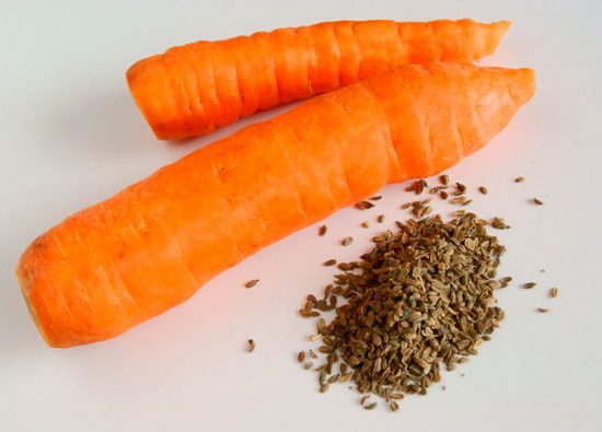 как прорастить семена моркови