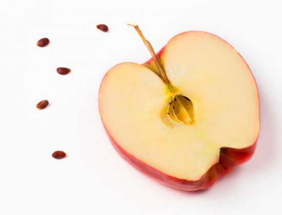 как вырастить яблоню из семечки 