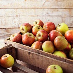 как хранить яблоки