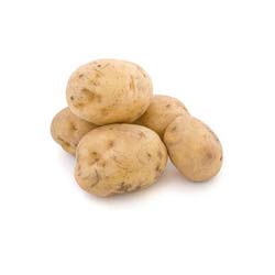 картофель удача описание сорта