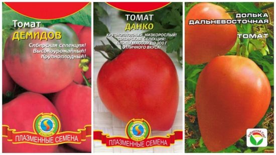 томаты низкорослые