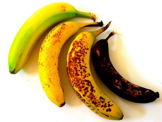 как вырастить банан в домашних условиях