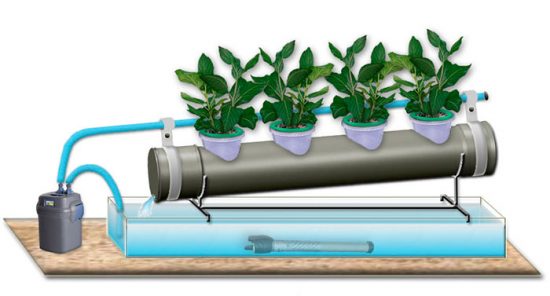 оборудование для выращивания овощей гидропоникой