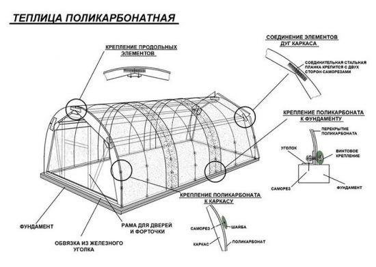 поликарбонатная теплица