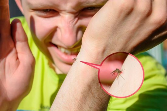 как защититься от комаров