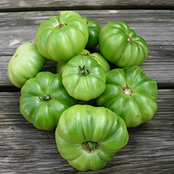 зеленые томаты