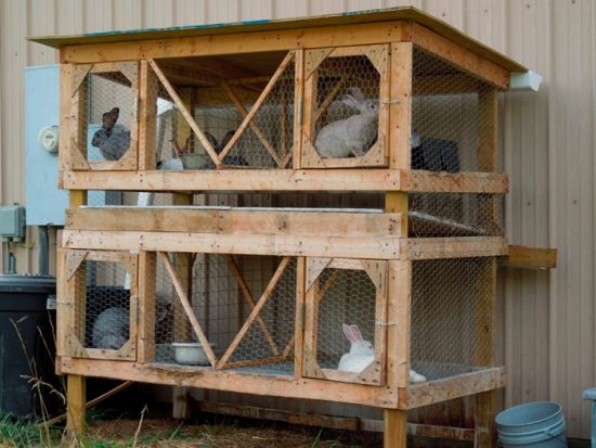 домик для кроликов