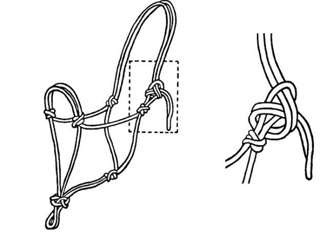 Уздечка для лошади из чего состоит схема