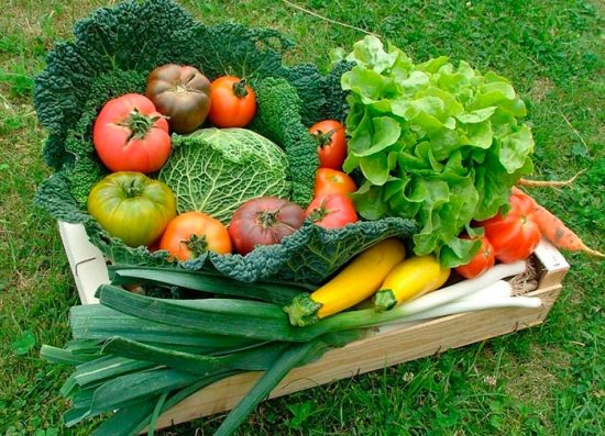 выращивание овощей
