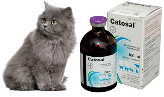 лечение котов
