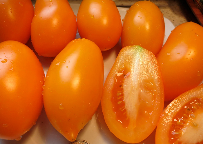 желтоплодные томаты