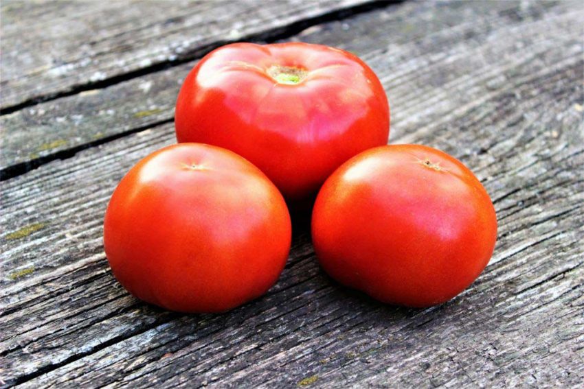 Томат Красный петух: агротехника, описание, отзывы