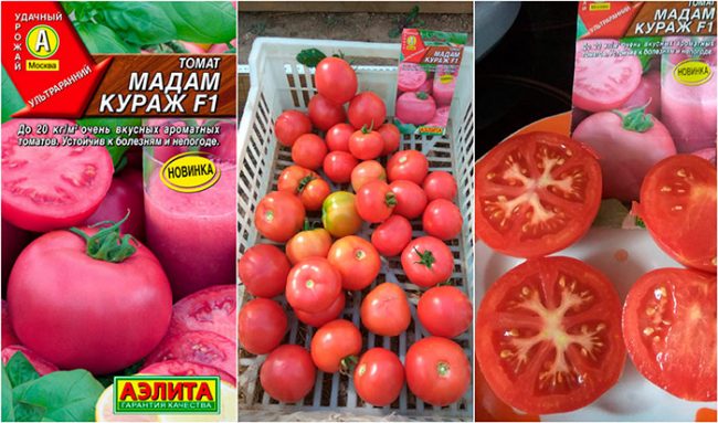 Томат Мадам Кураж F1: характеристика и описание сорта, отзывы