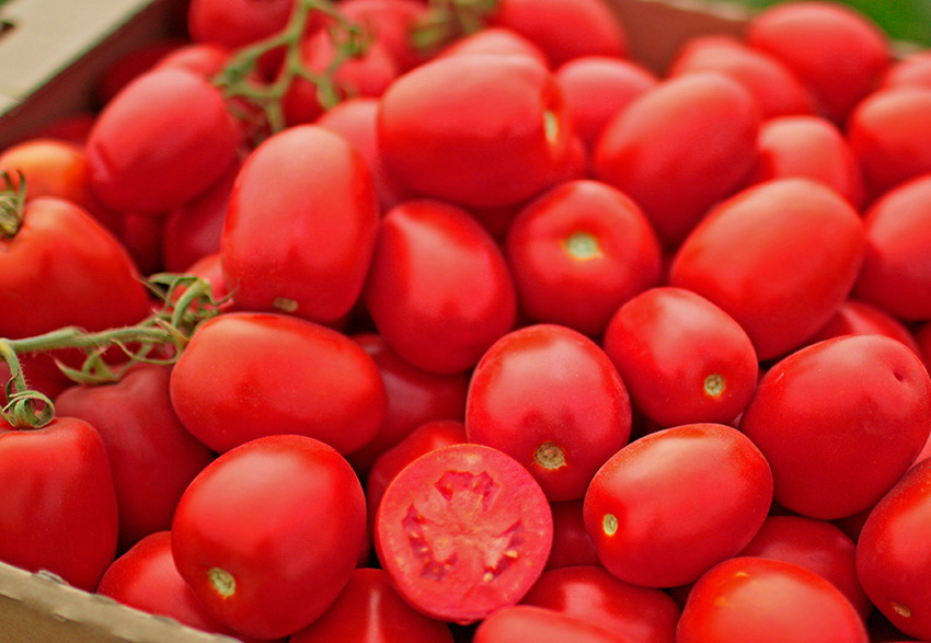 Петраросса F1 – томат для фермеров и дачников: описание гибрида и его преимущества