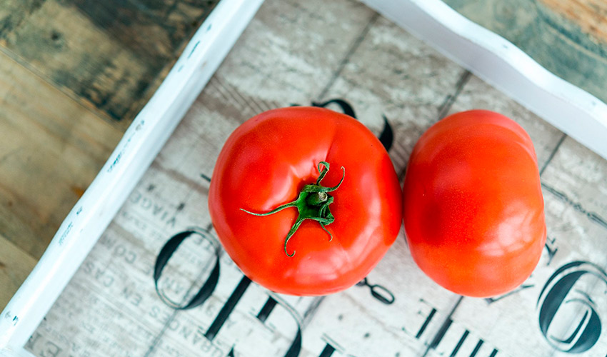 Непревзойденный по вкусу томат Бальзам F1: подробное описание, правила выращивания, отзывы