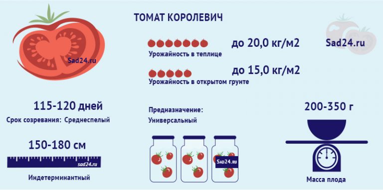 Томат Королевич: описание и характеристика сорта, фото, отзывы