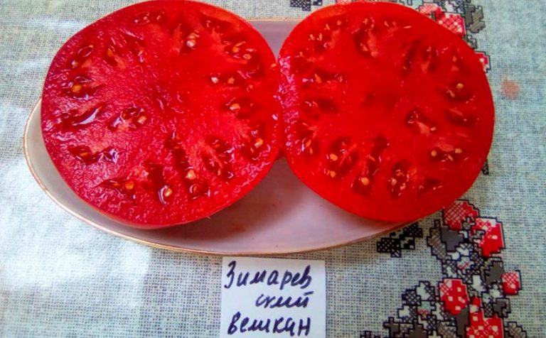 Томат Зимаревский великан: описание сорта, фото, отзывы