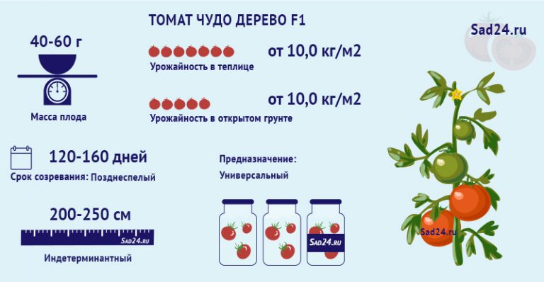 Таблица нехватки микроэлементов у томатов фото