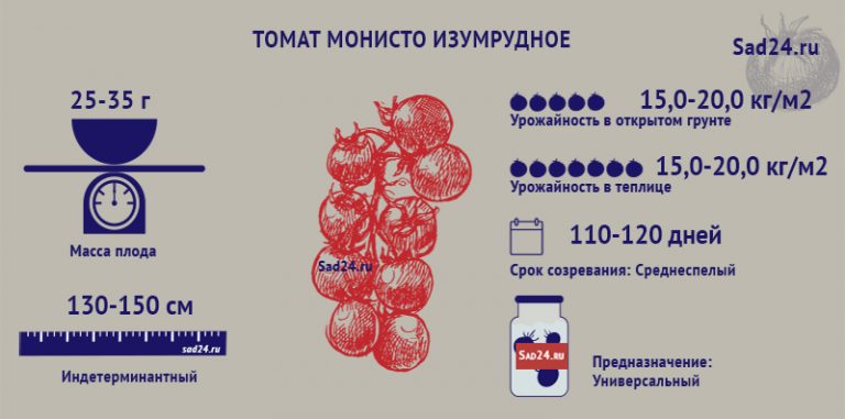 Томат Монисто изумрудное: описание сорта, фото, отзывы