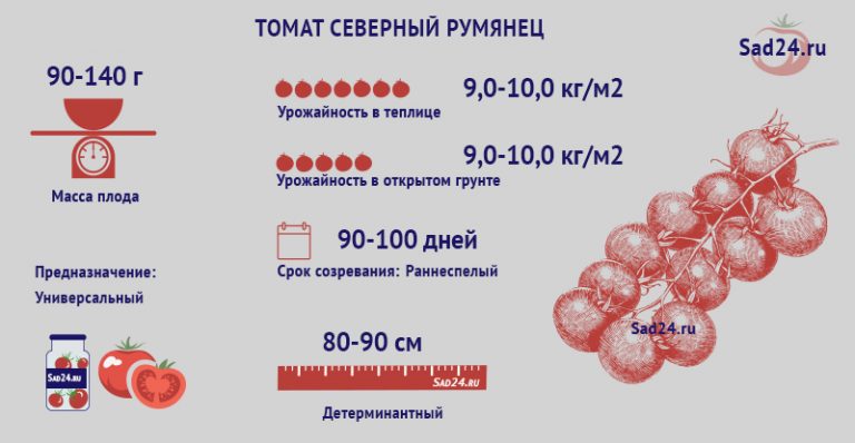 Томат северный румянец характеристика