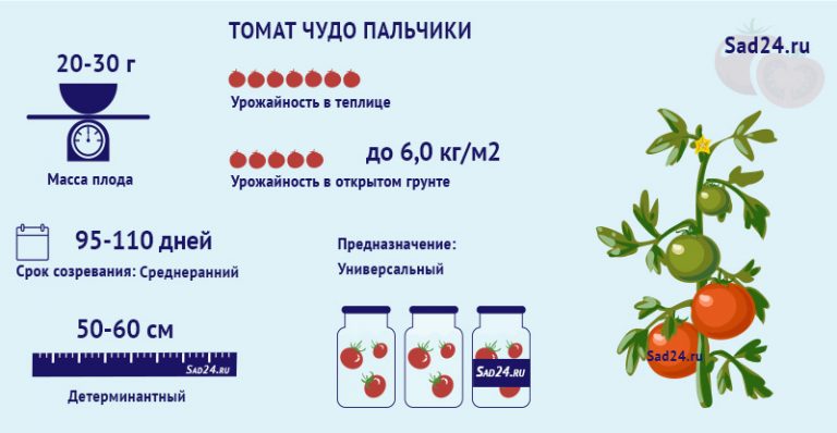 Томат Чудо пальчики: описание, характеристика сорта, отзыв, фото