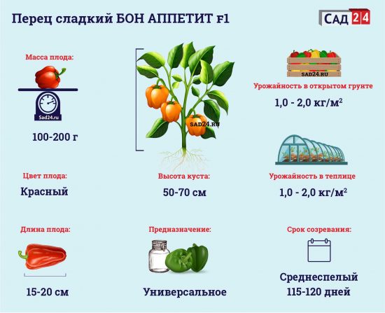 Бизнес план плодового питомника