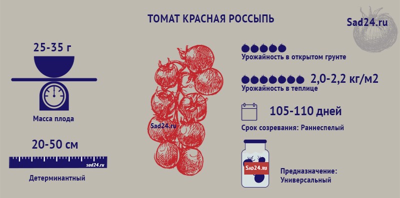 томат красная россыпь