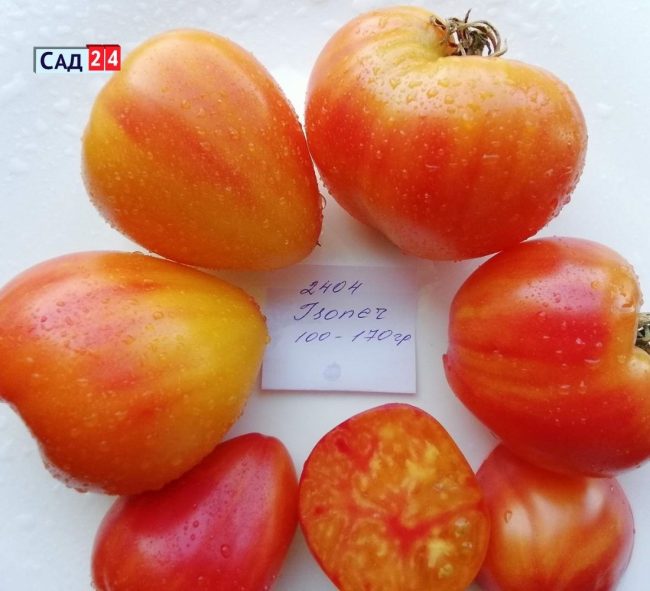 Топ 10 томатов Татьяны Наглэ